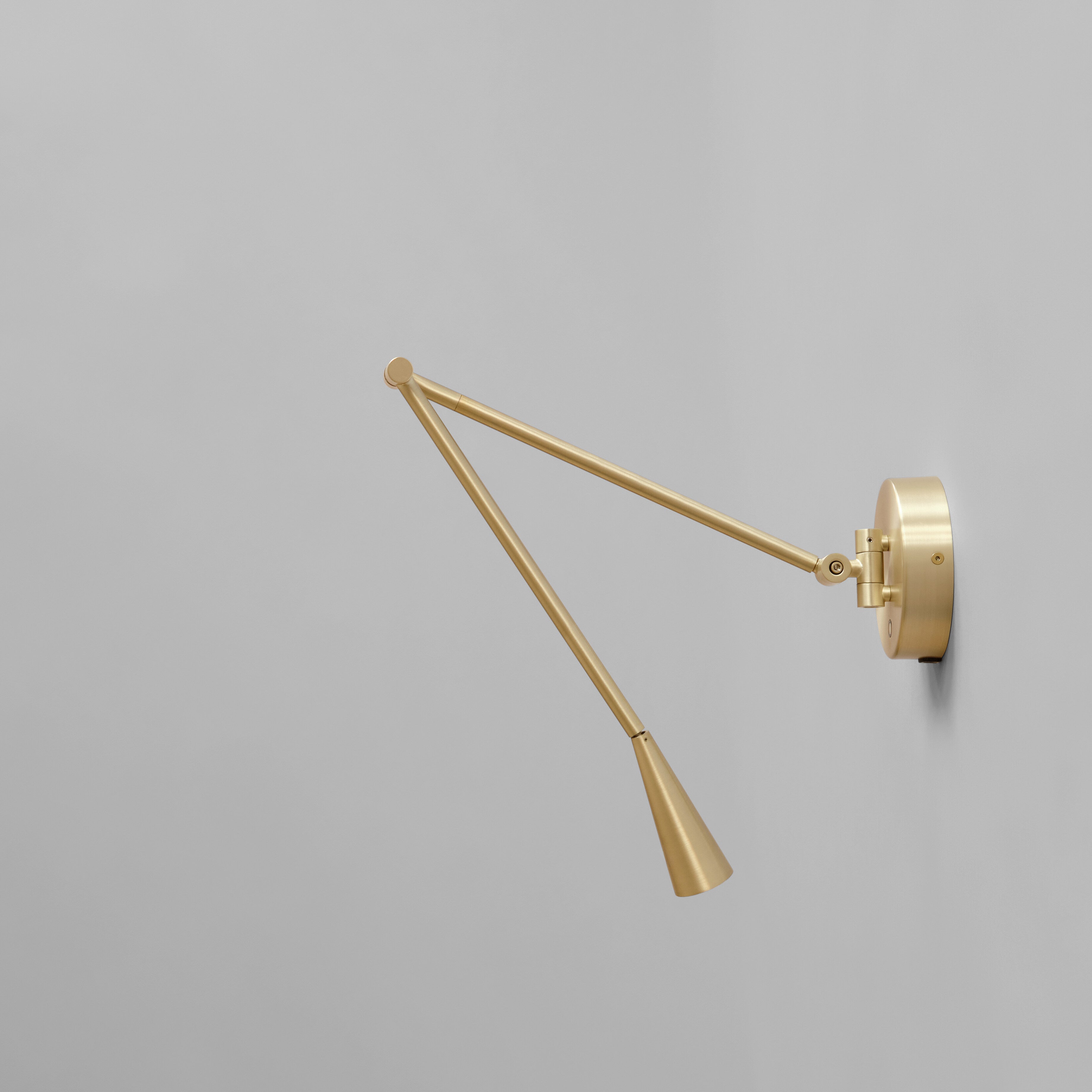 Snake Wall Lamp - Brass