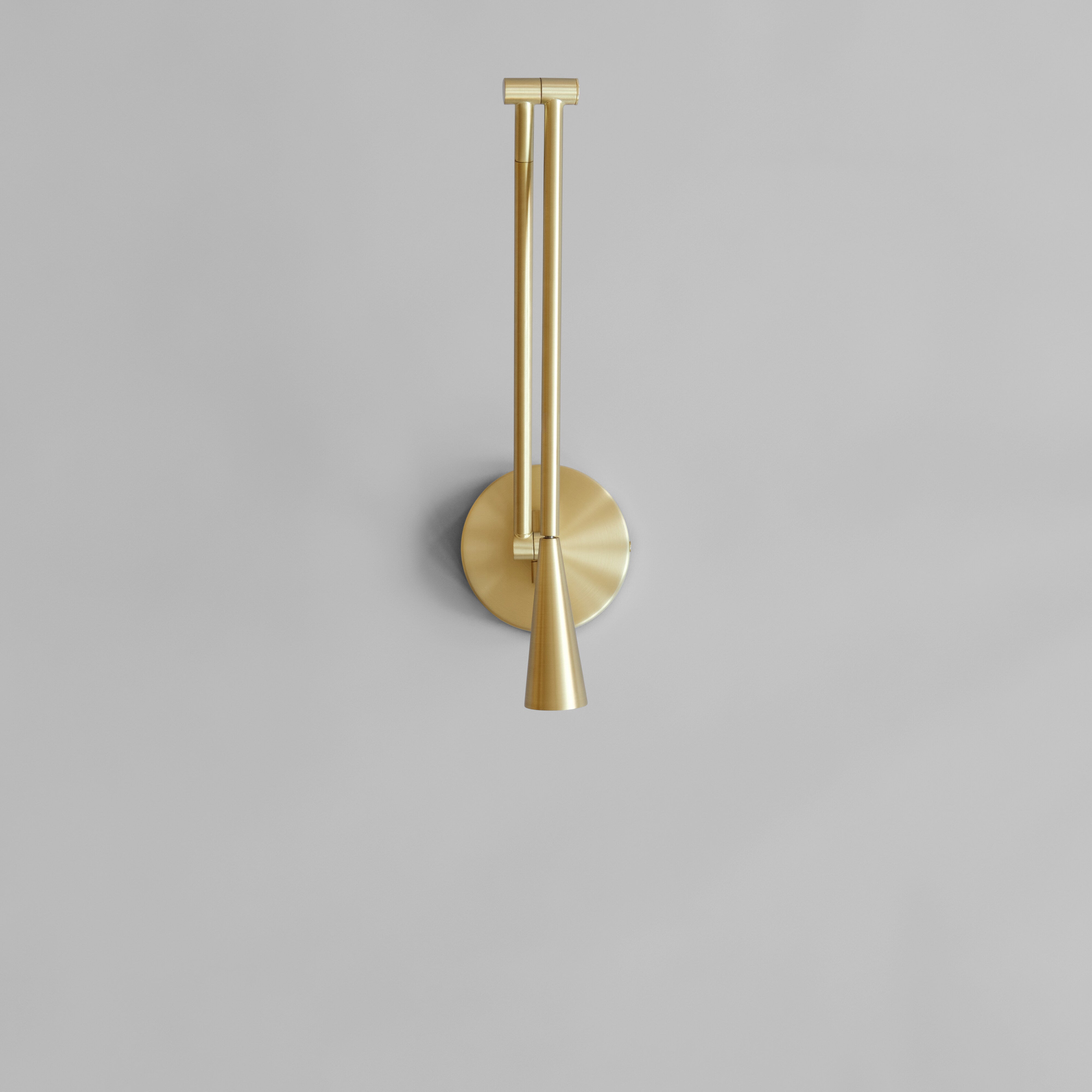 Snake Wall Lamp - Brass