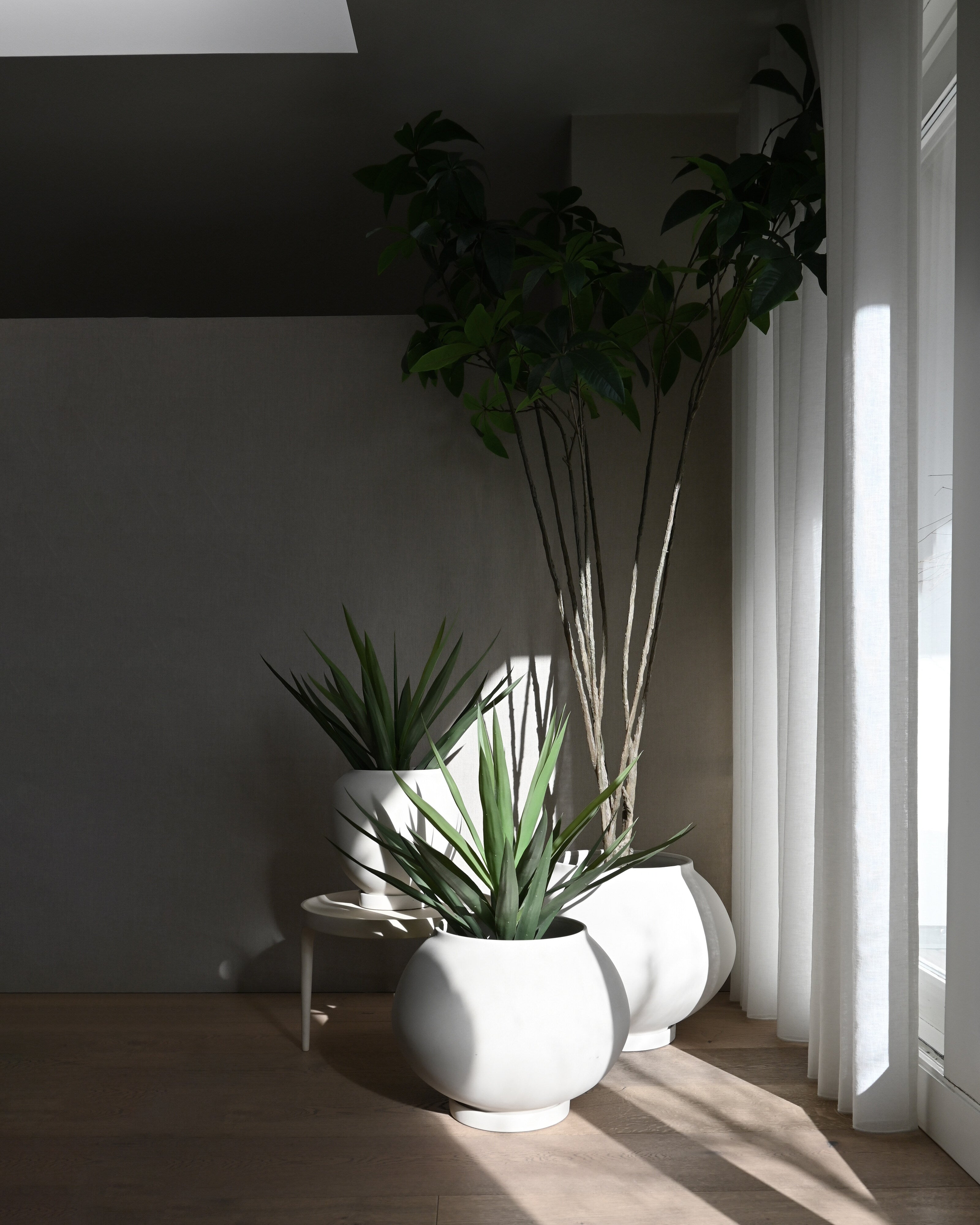 Sunao Plant Pot Fat, Big - Birch