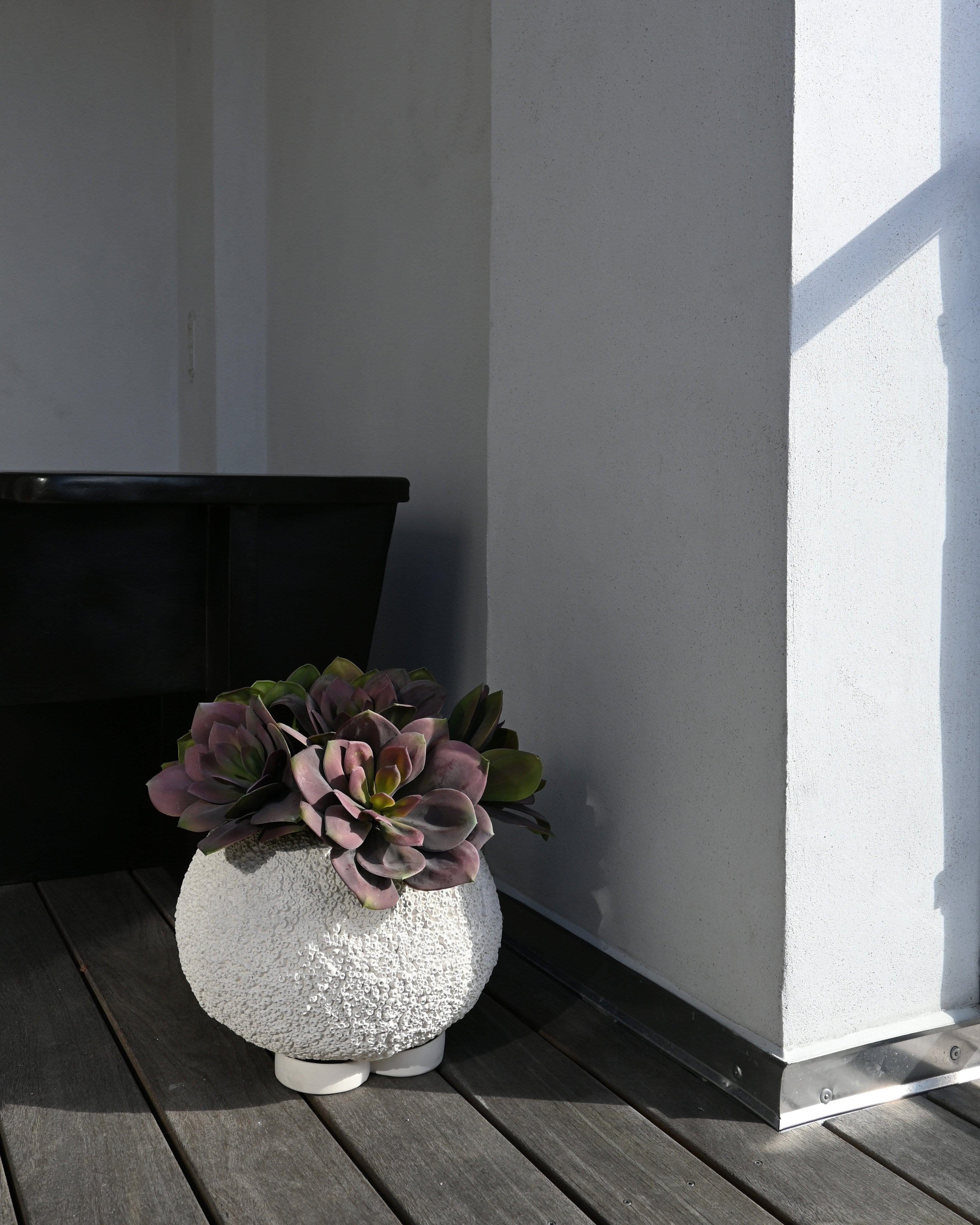 Urchin Plant Pot, Mini - Beehive