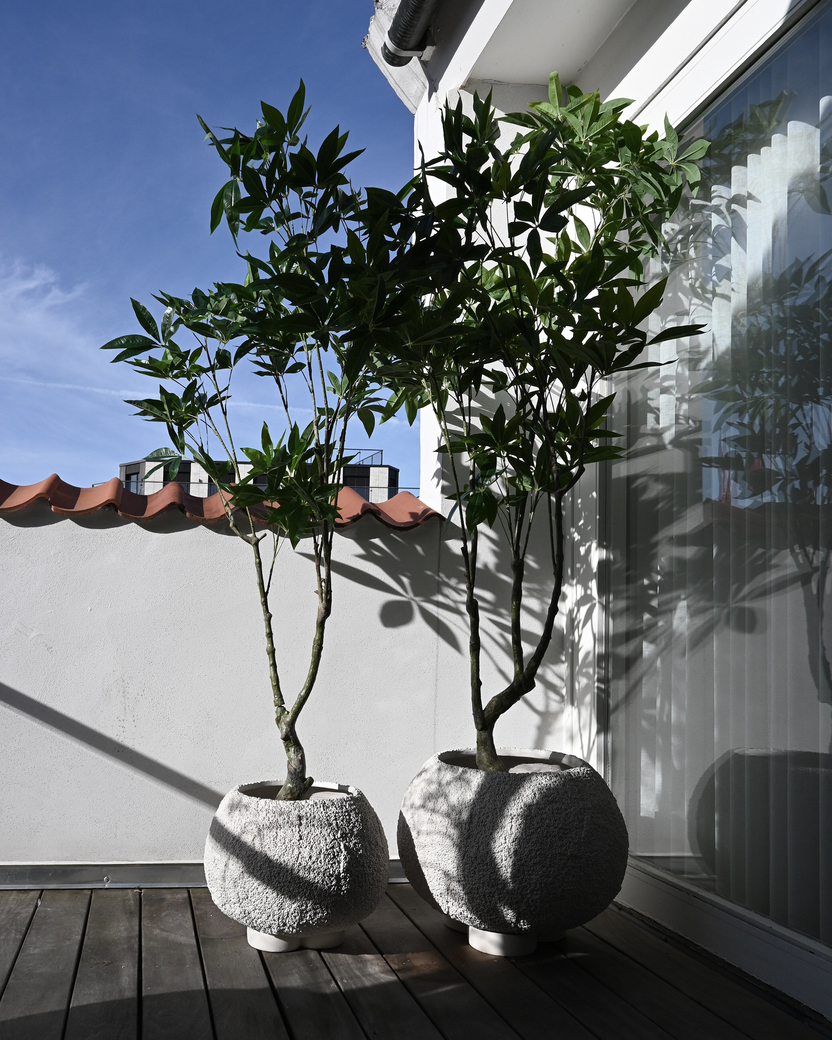 Urchin Plant Pot, Medio - Beehive