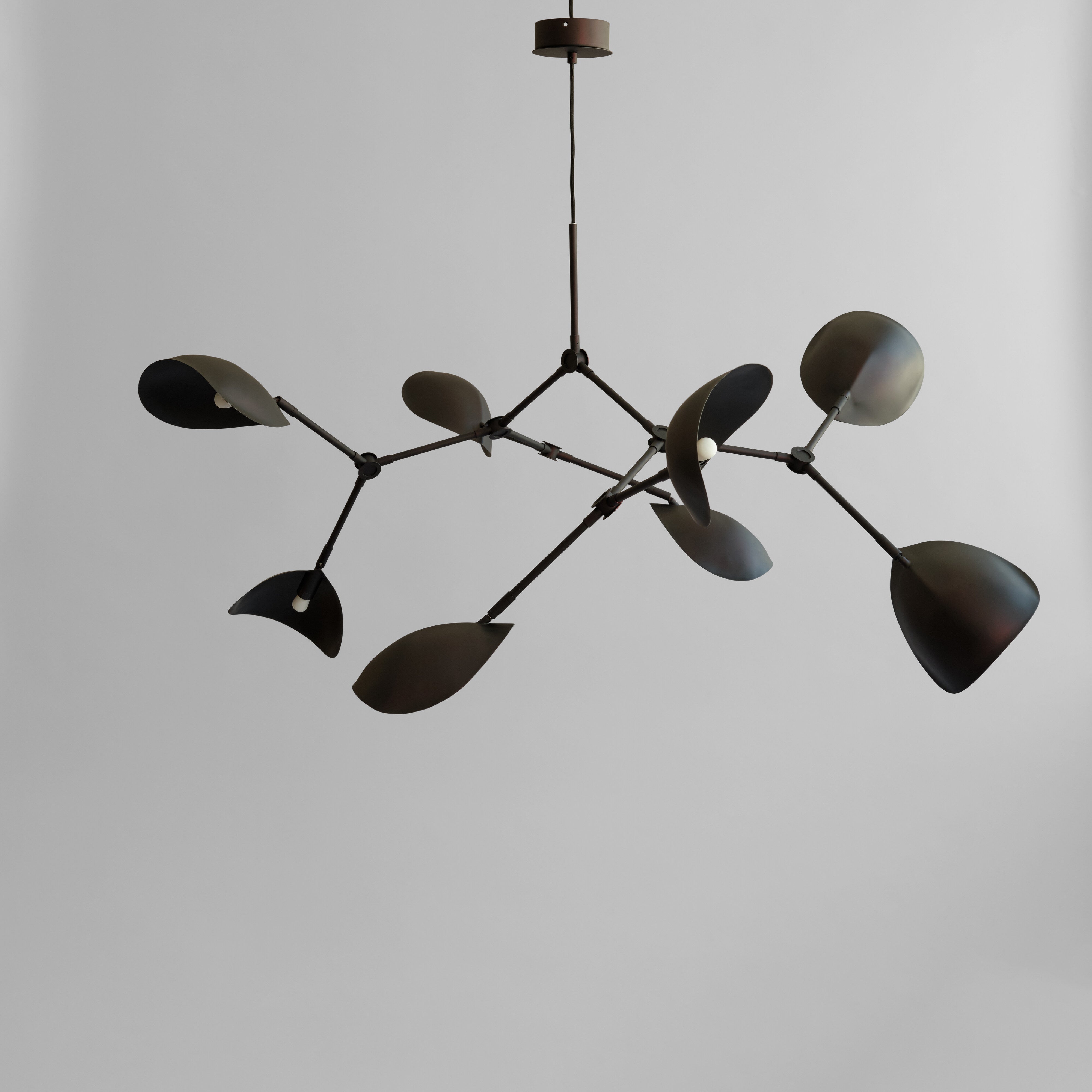 Stingray Chandelier - Burned Black (5m)