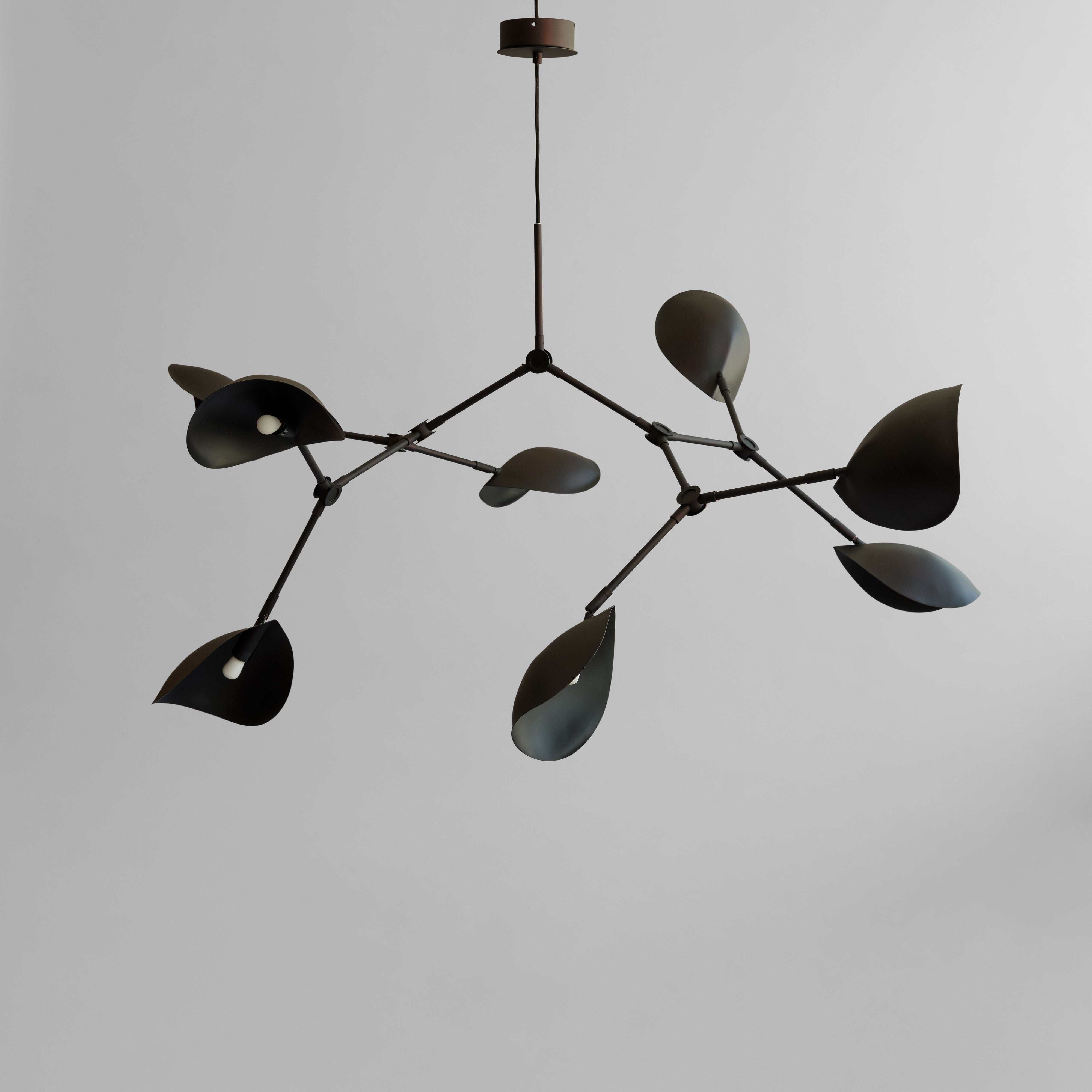 Stingray Chandelier - Burned Black (5m)