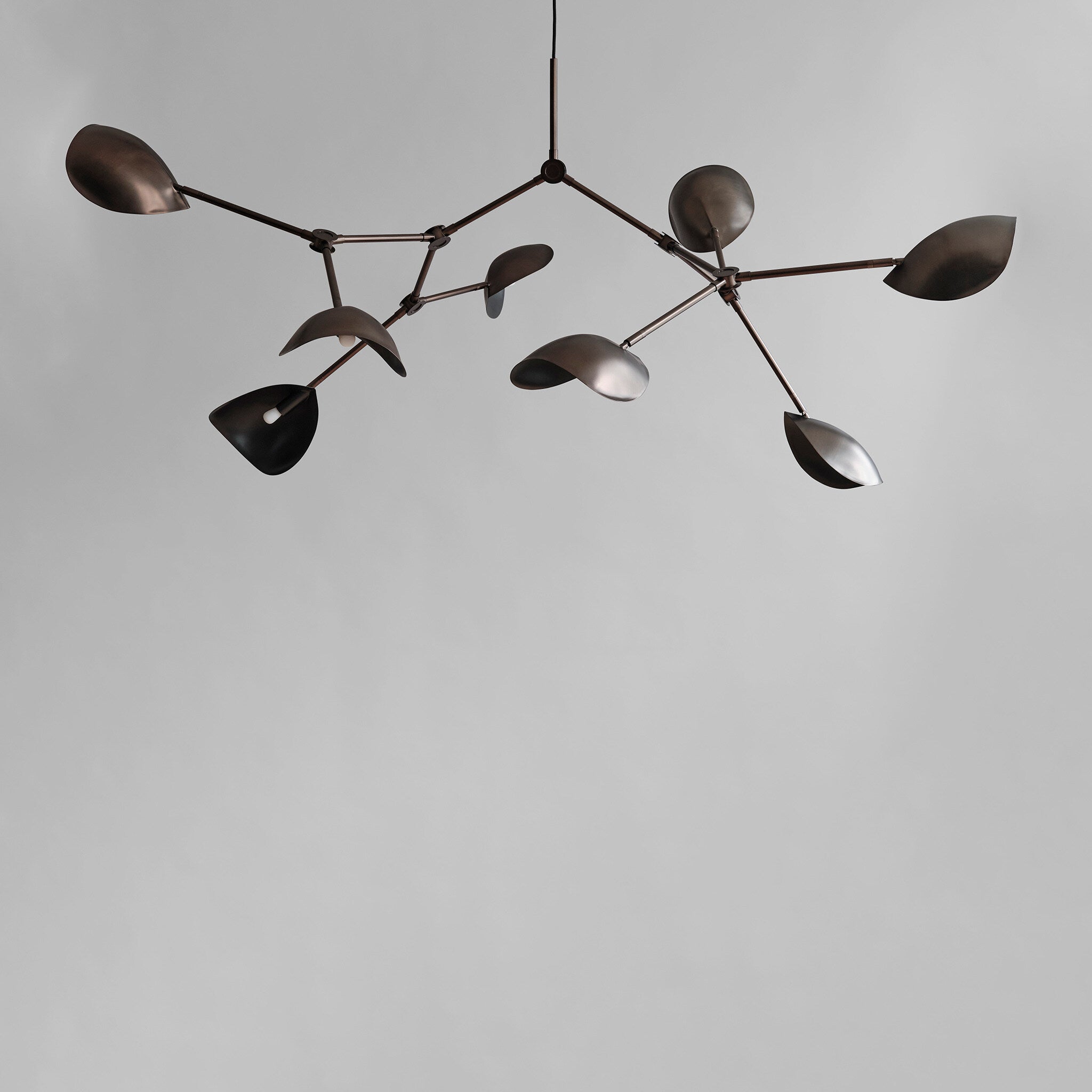 Stingray Chandelier, Grande - Bronze (5m)