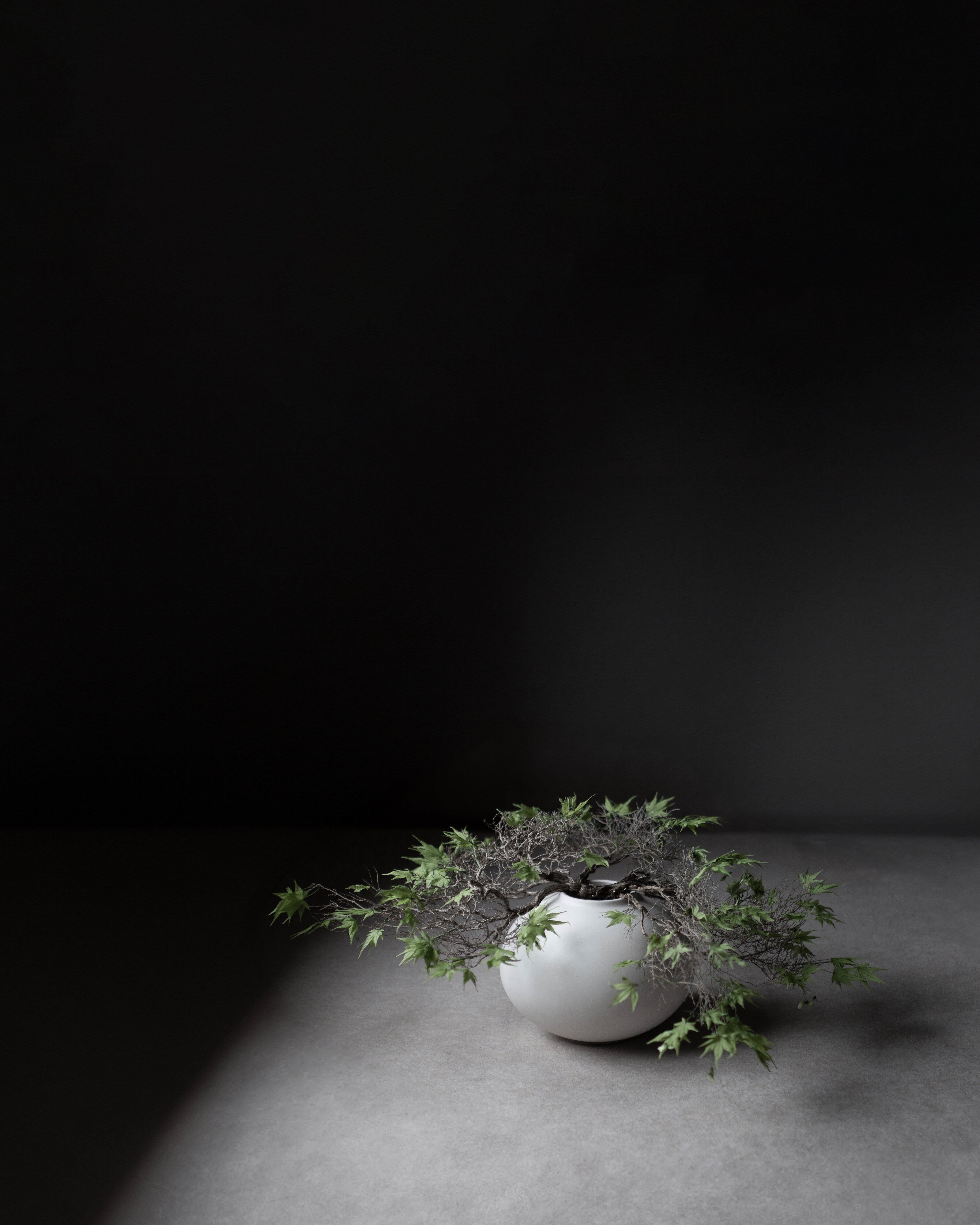 Sunao Vase Fat, Mini - Birch