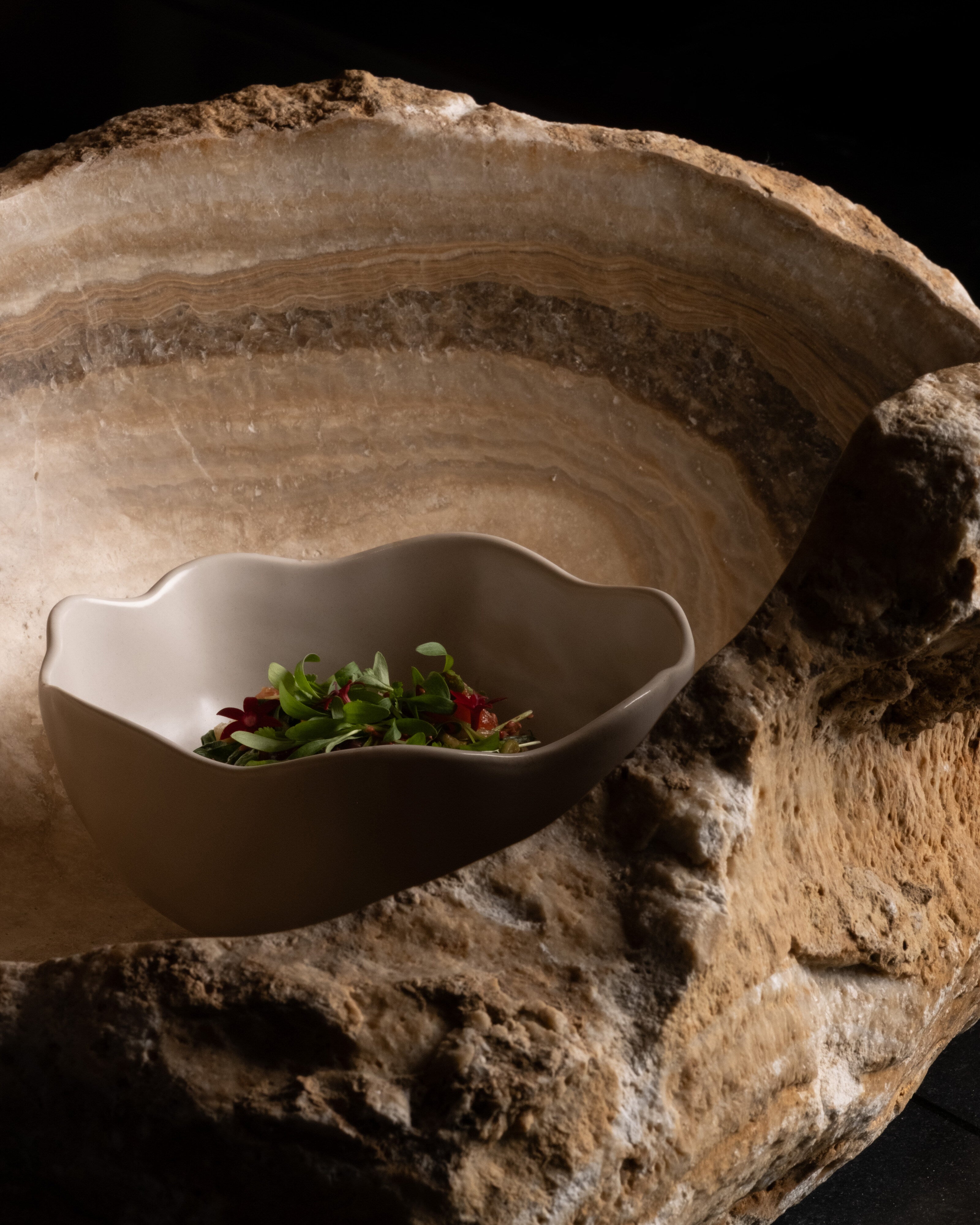 Native Bowl, Medio - Birch