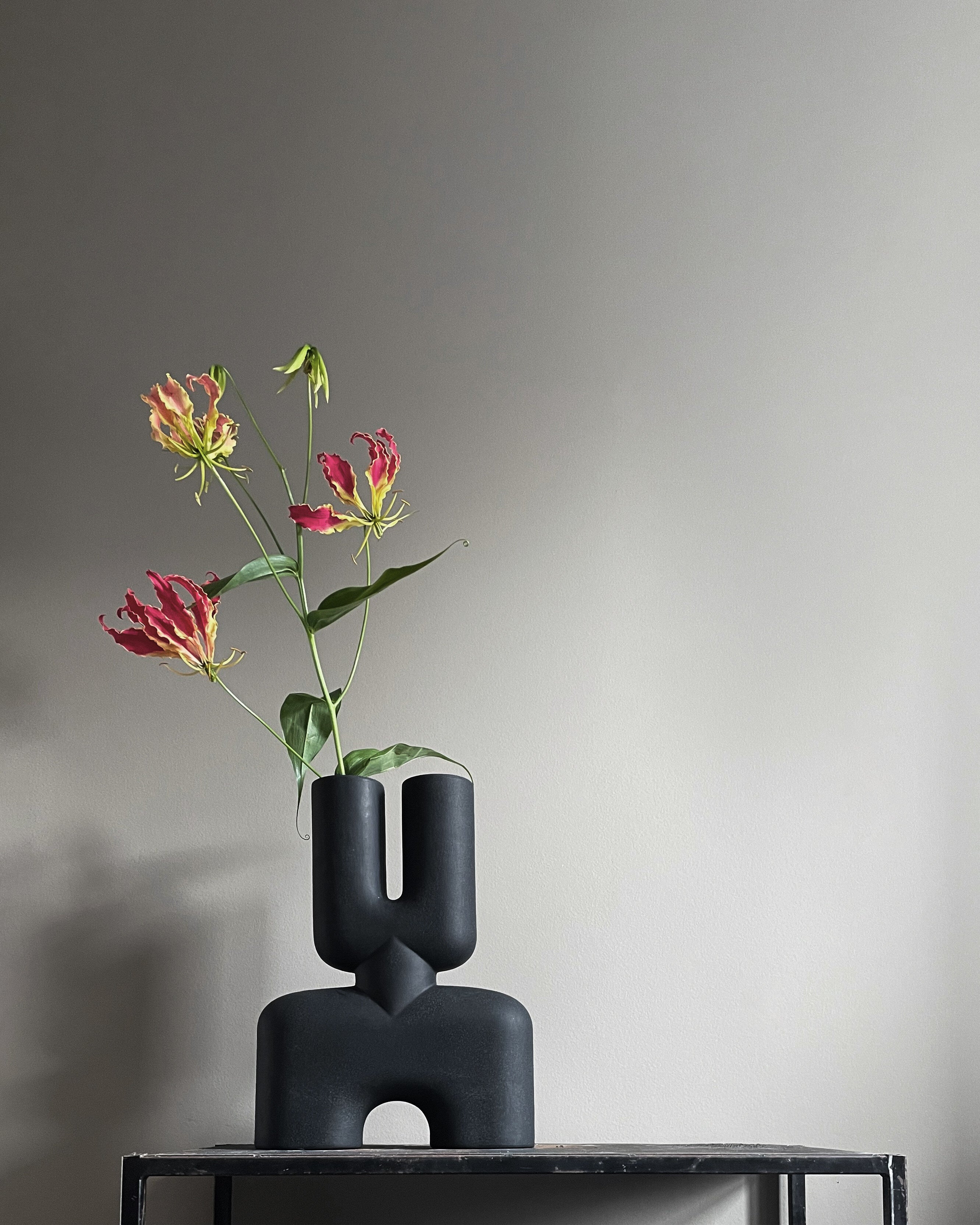 Cobra Vase Double, Medio - Black