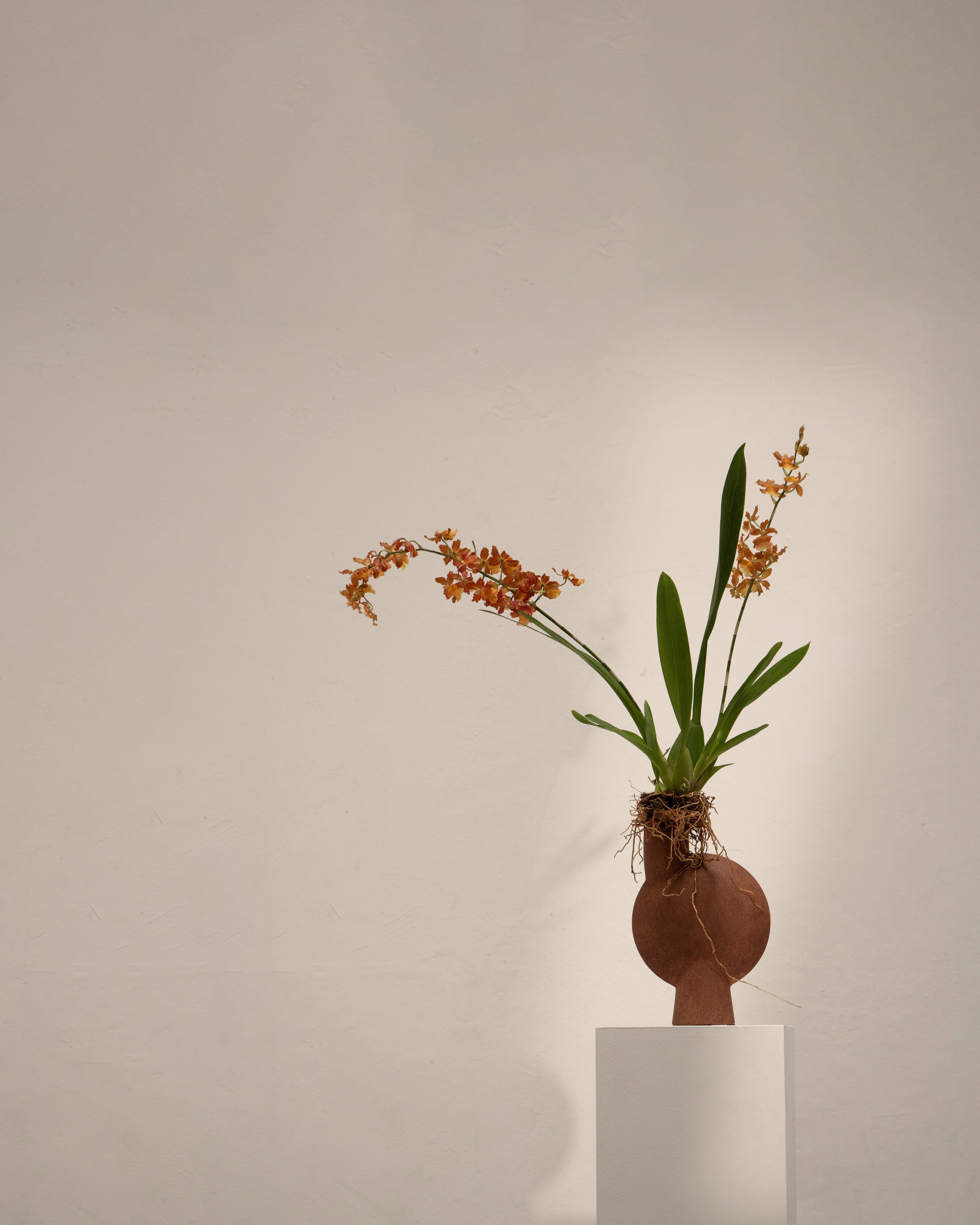 Sphere Vase Bubl, Medio -Terracotta