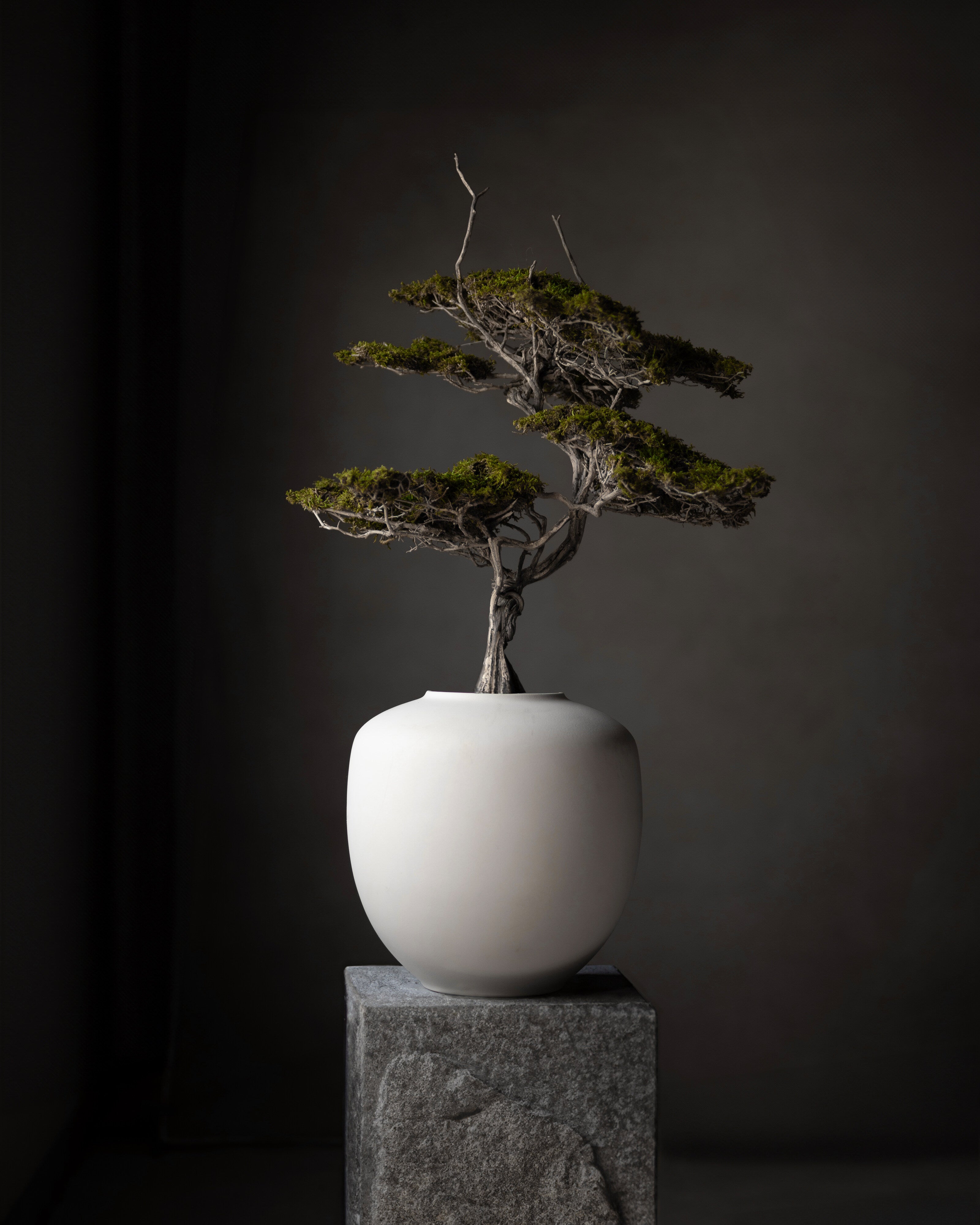 Sunao Vase, Medio - Birch
