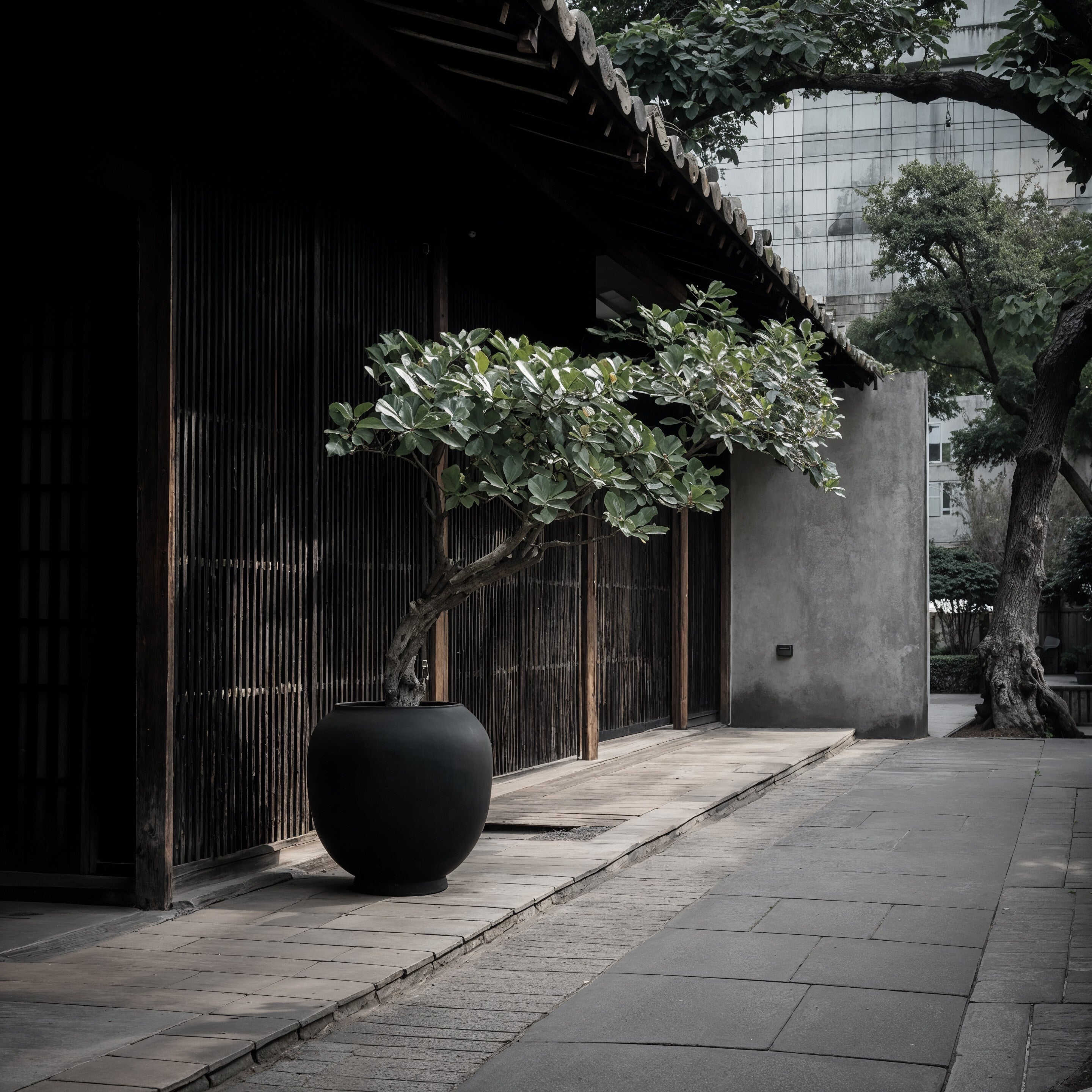 Sunao Plant Pot, Hexa - Black