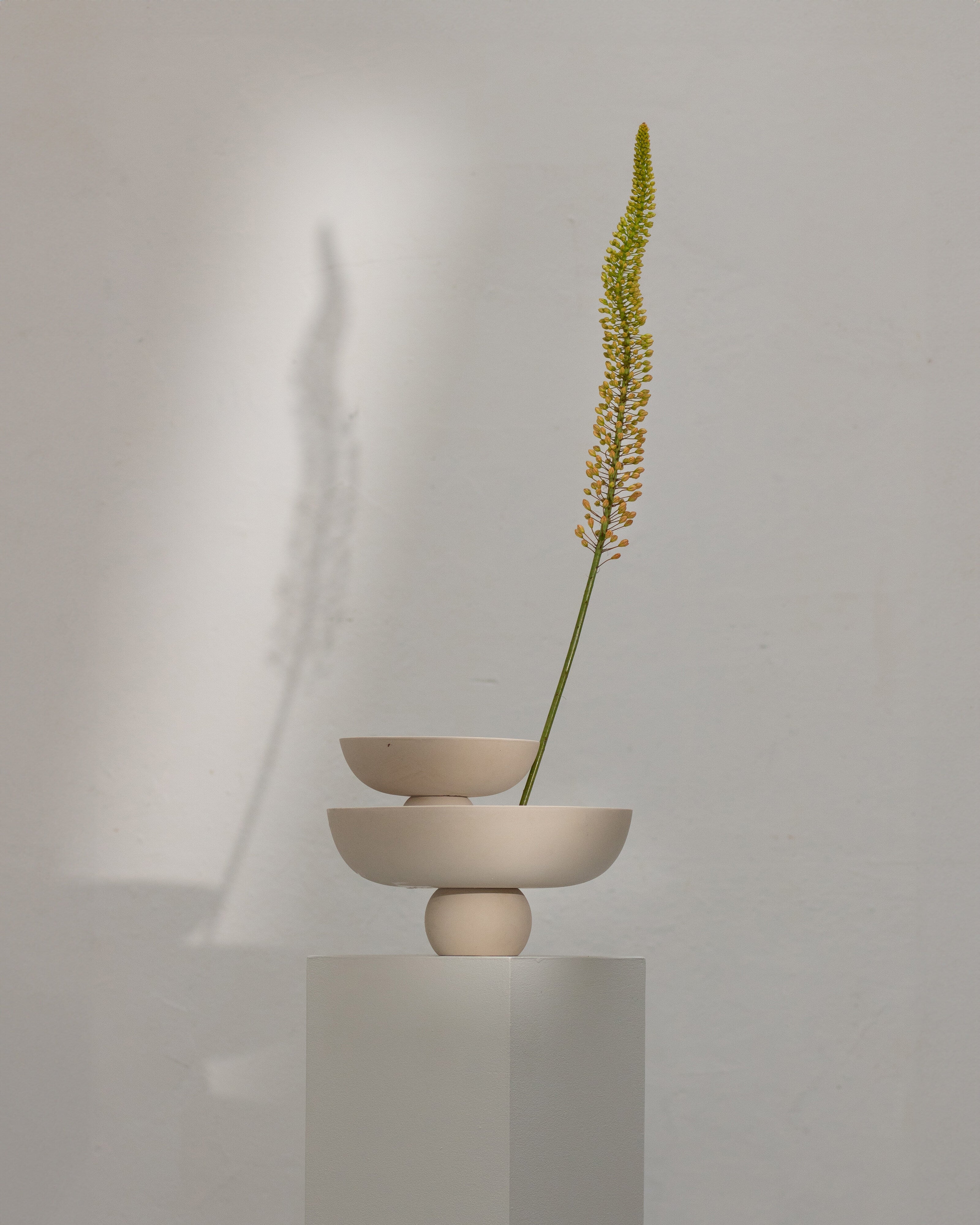 Baburu Bowl, Mini - Birch