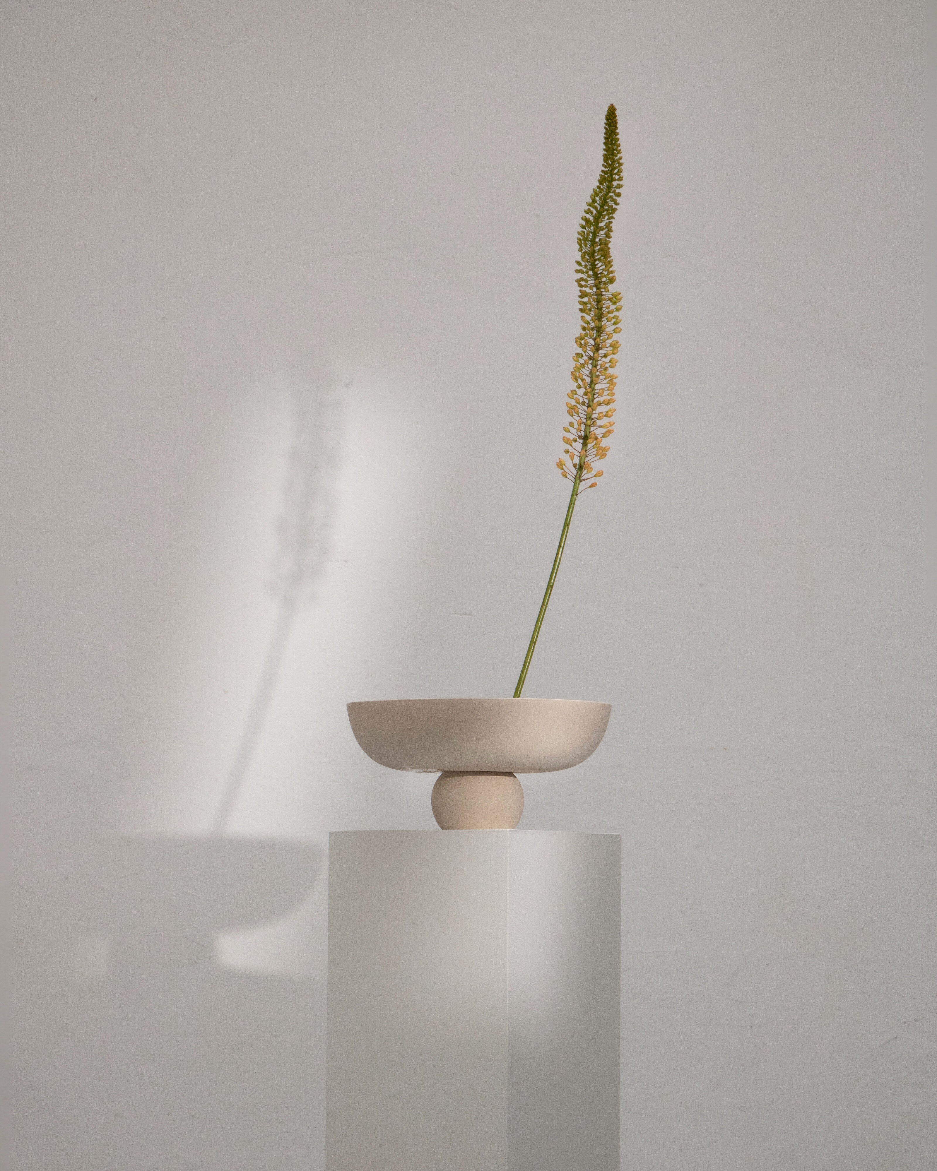 Baburu Bowl, Medio - Birch