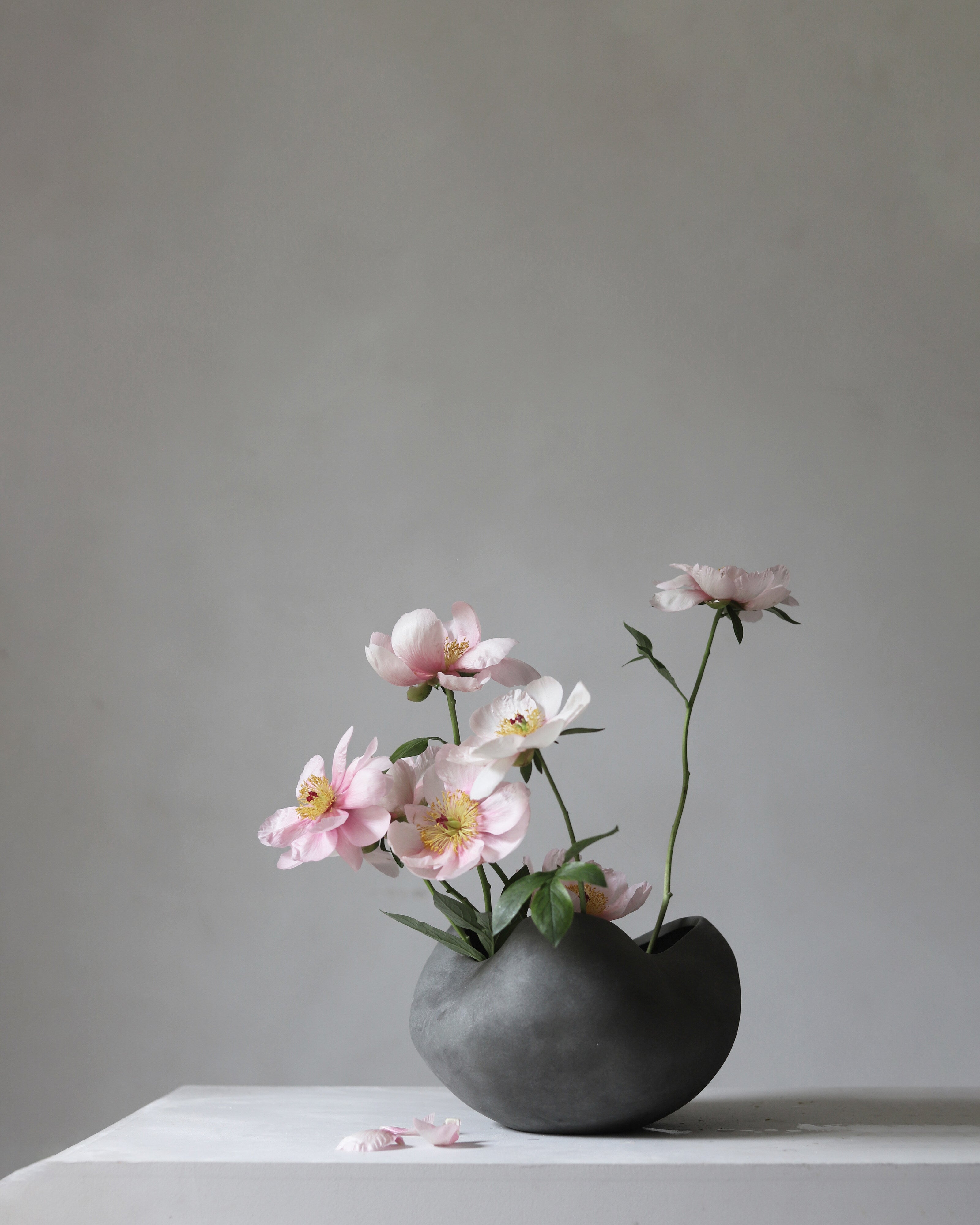 Curve Bowl, Big - Dark Grey