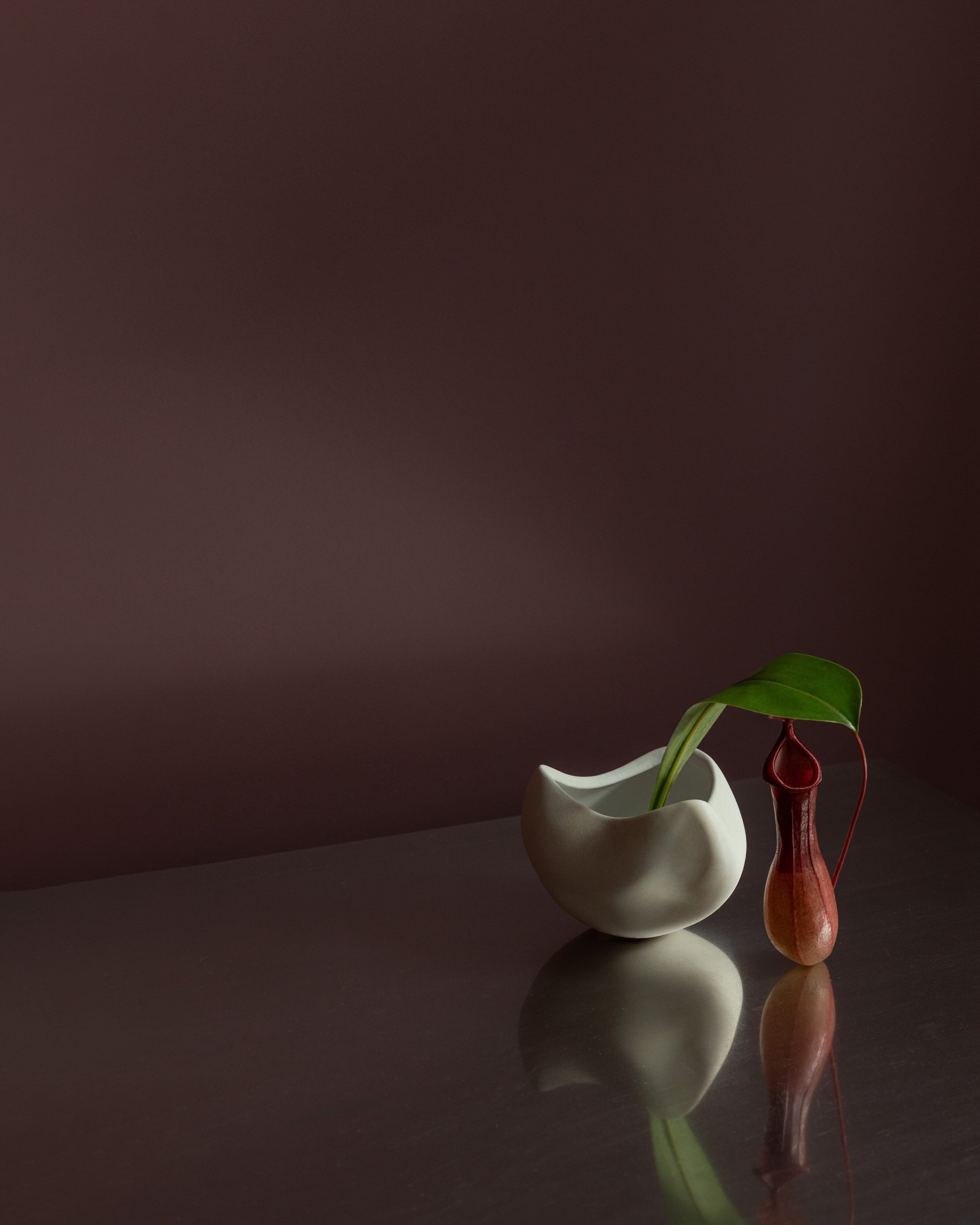 Curve Bowl, Mini - Bone White