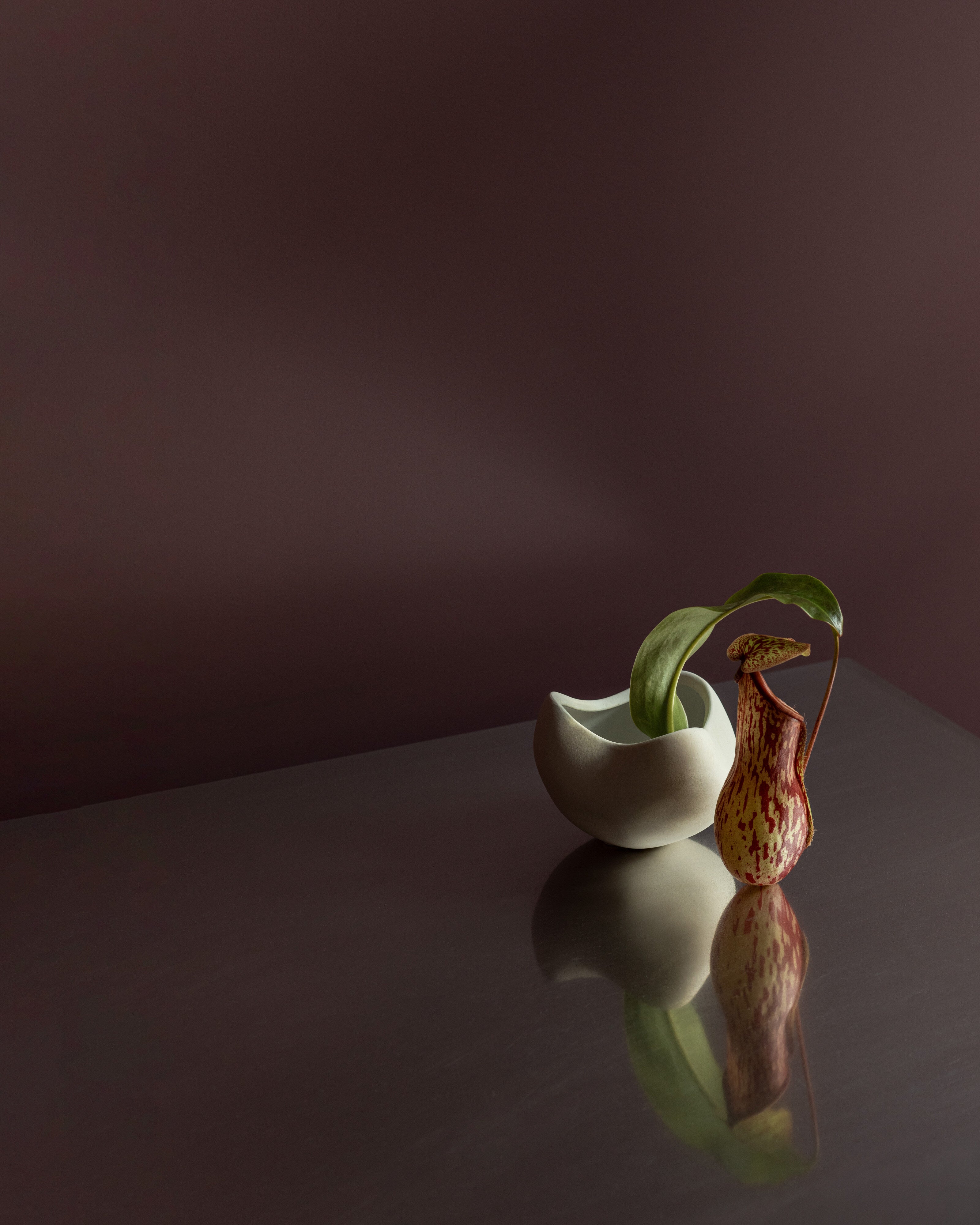 Curve Bowl, Mini - Bone White