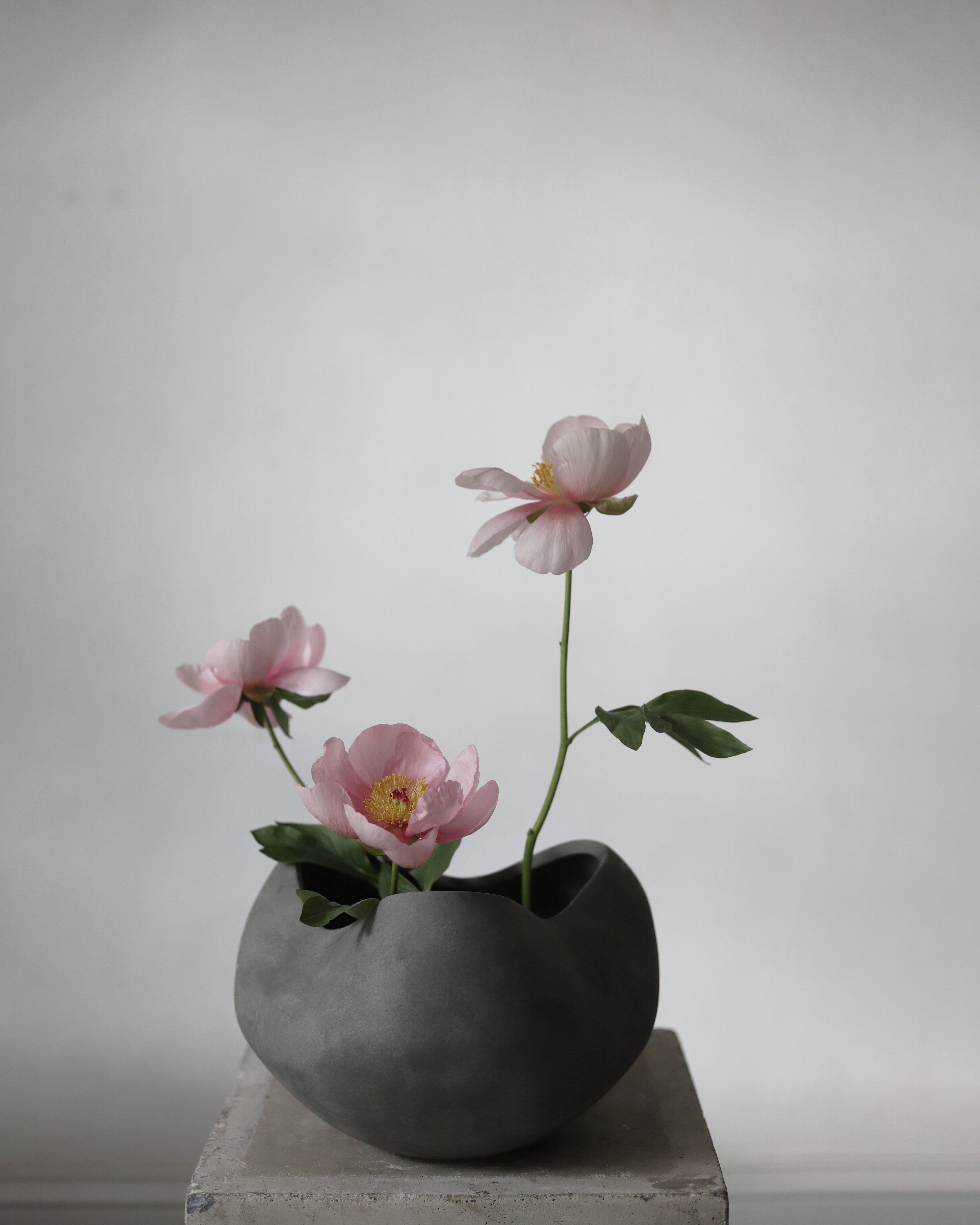 Curve Bowl, Big - Dark Grey