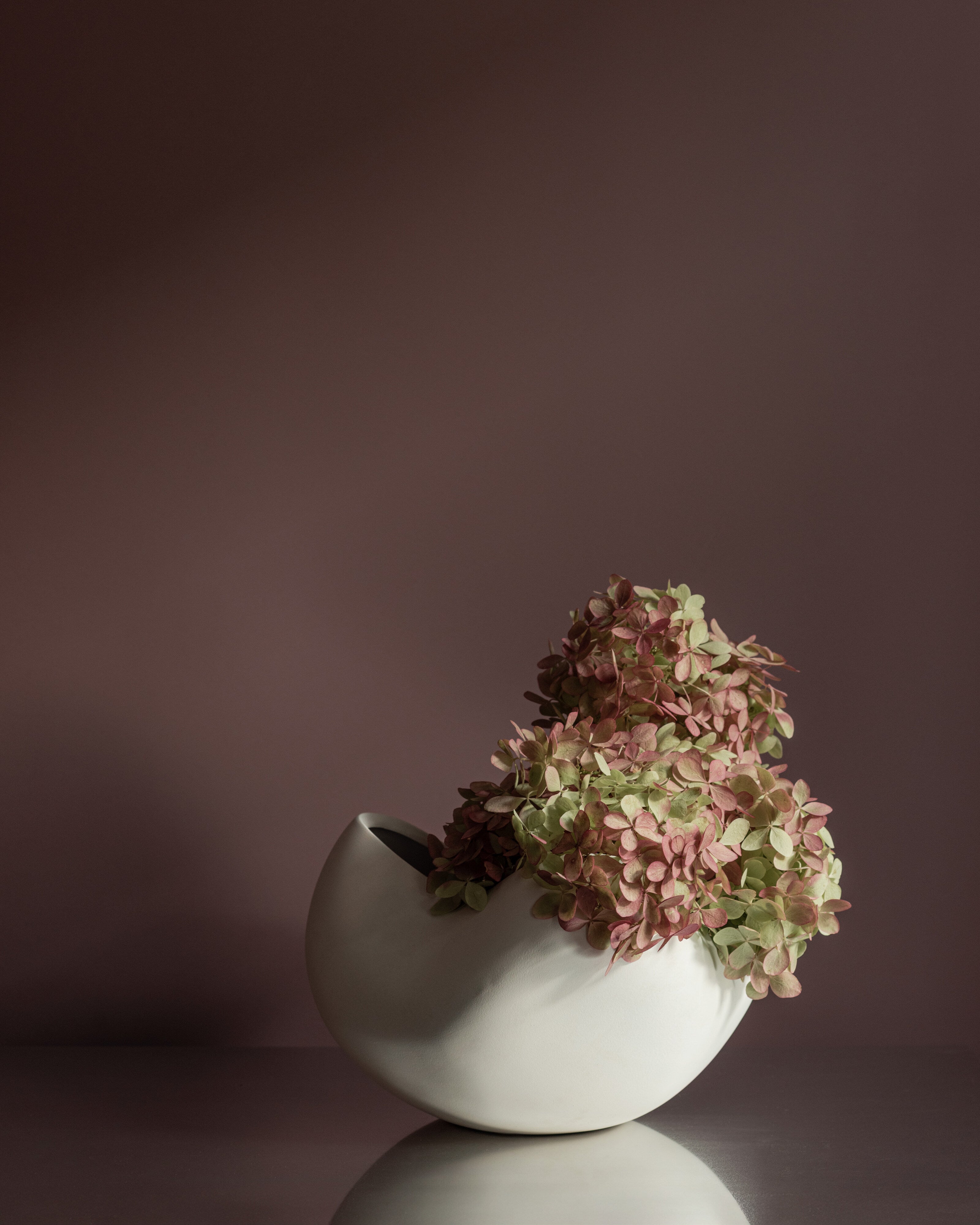 Curve Bowl, Big - Bone White