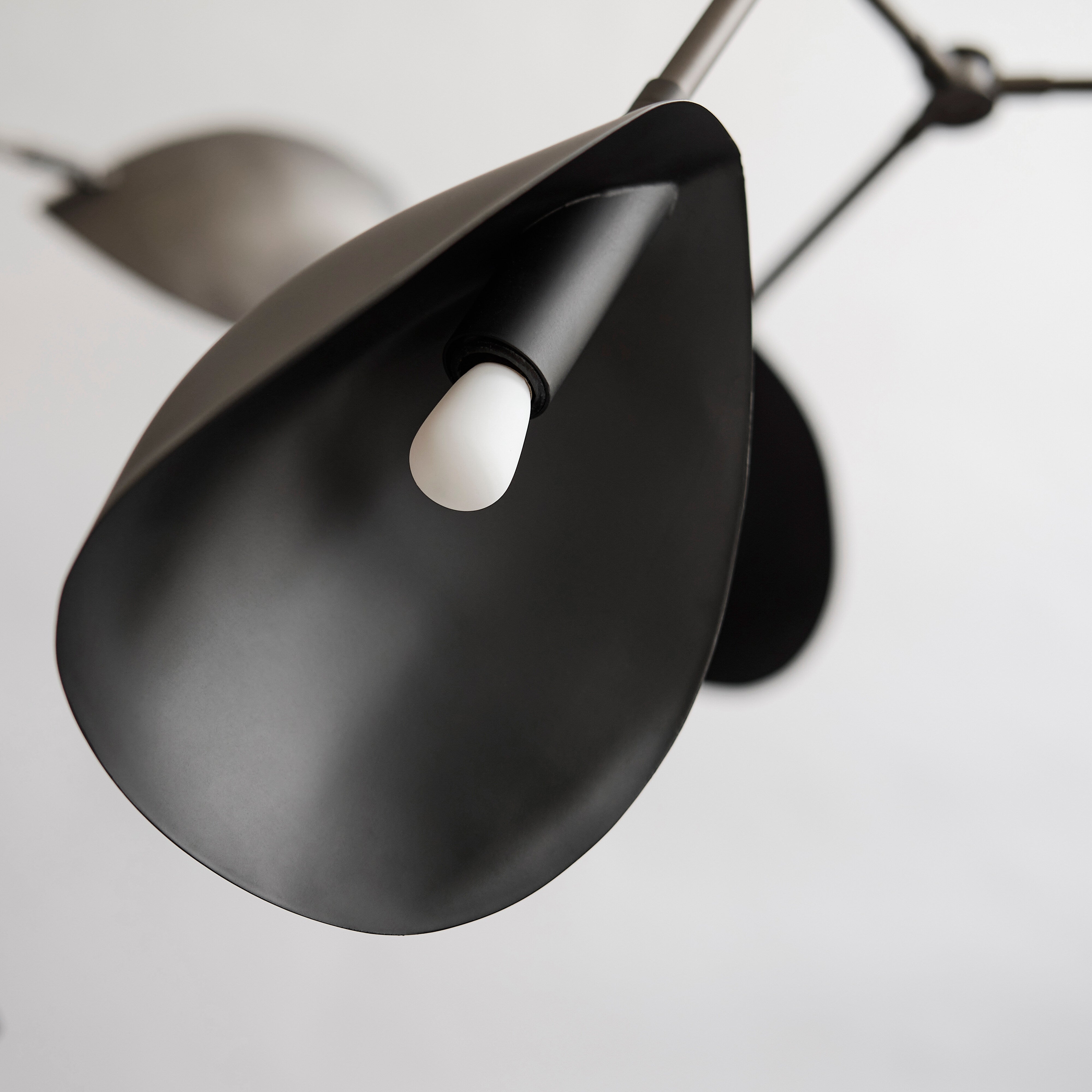 Pygmy - LED Bulb -  E14 - 240V - 2500K