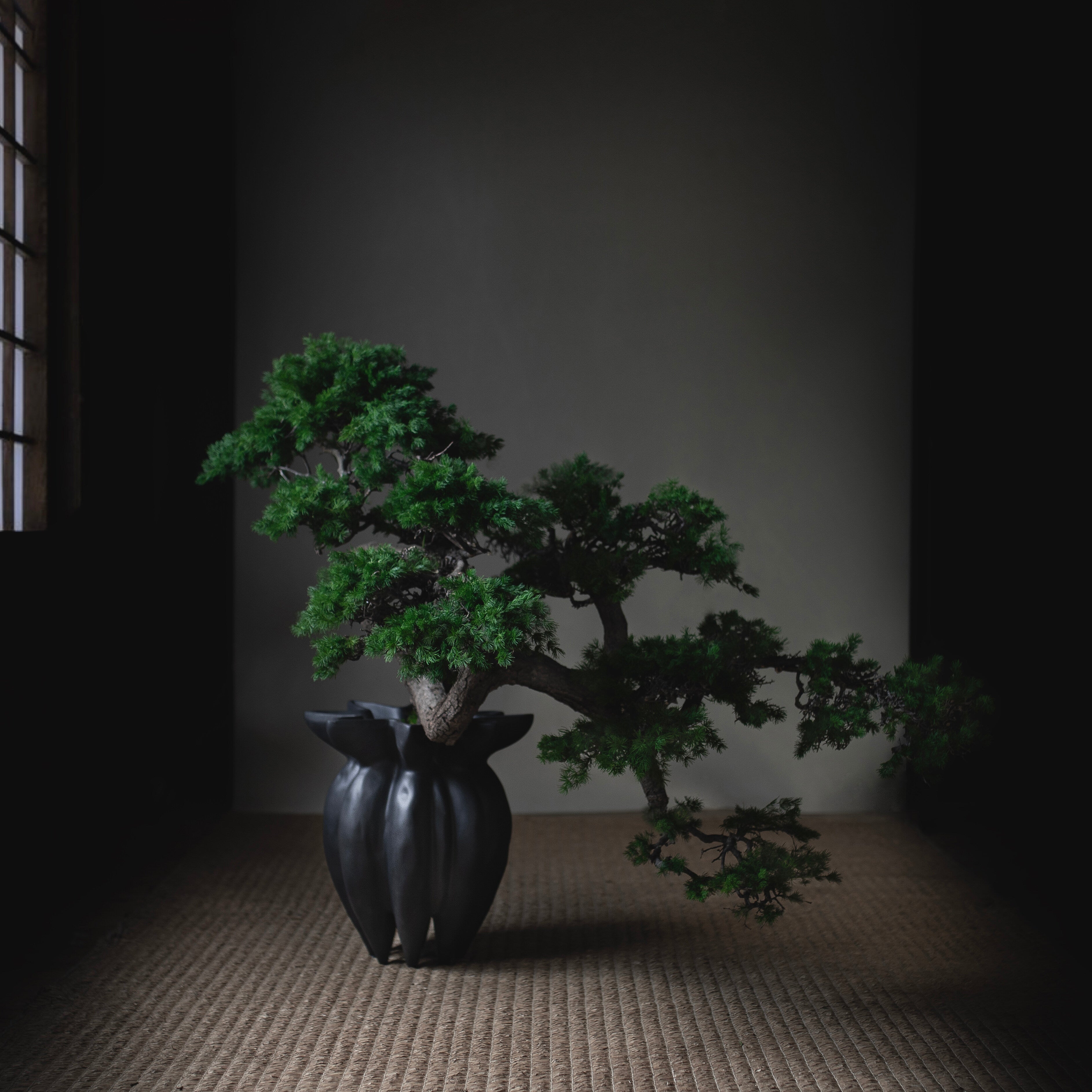 Lotus Vase, Mini - Coffee