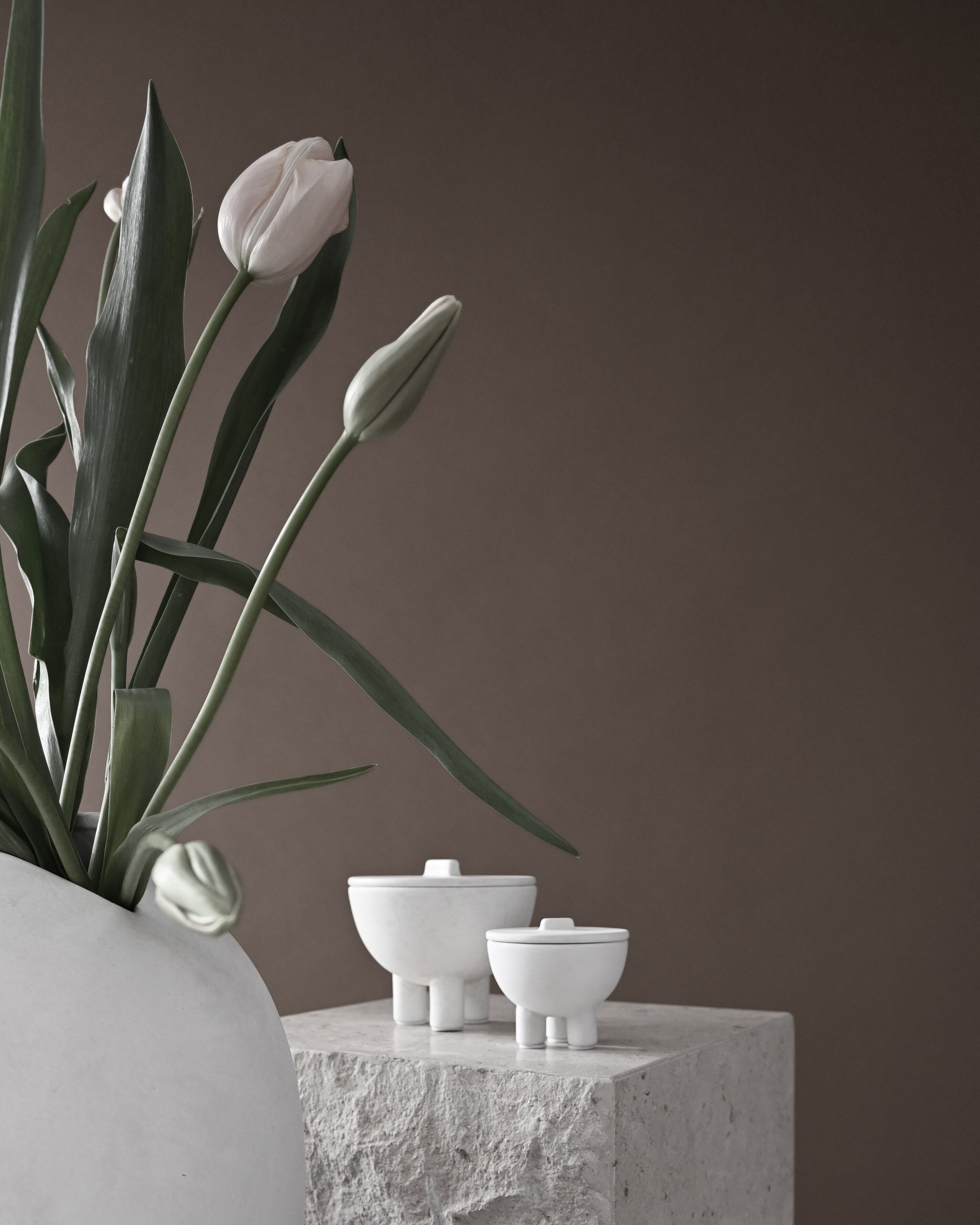 Duck Jar, Medio - Bone White