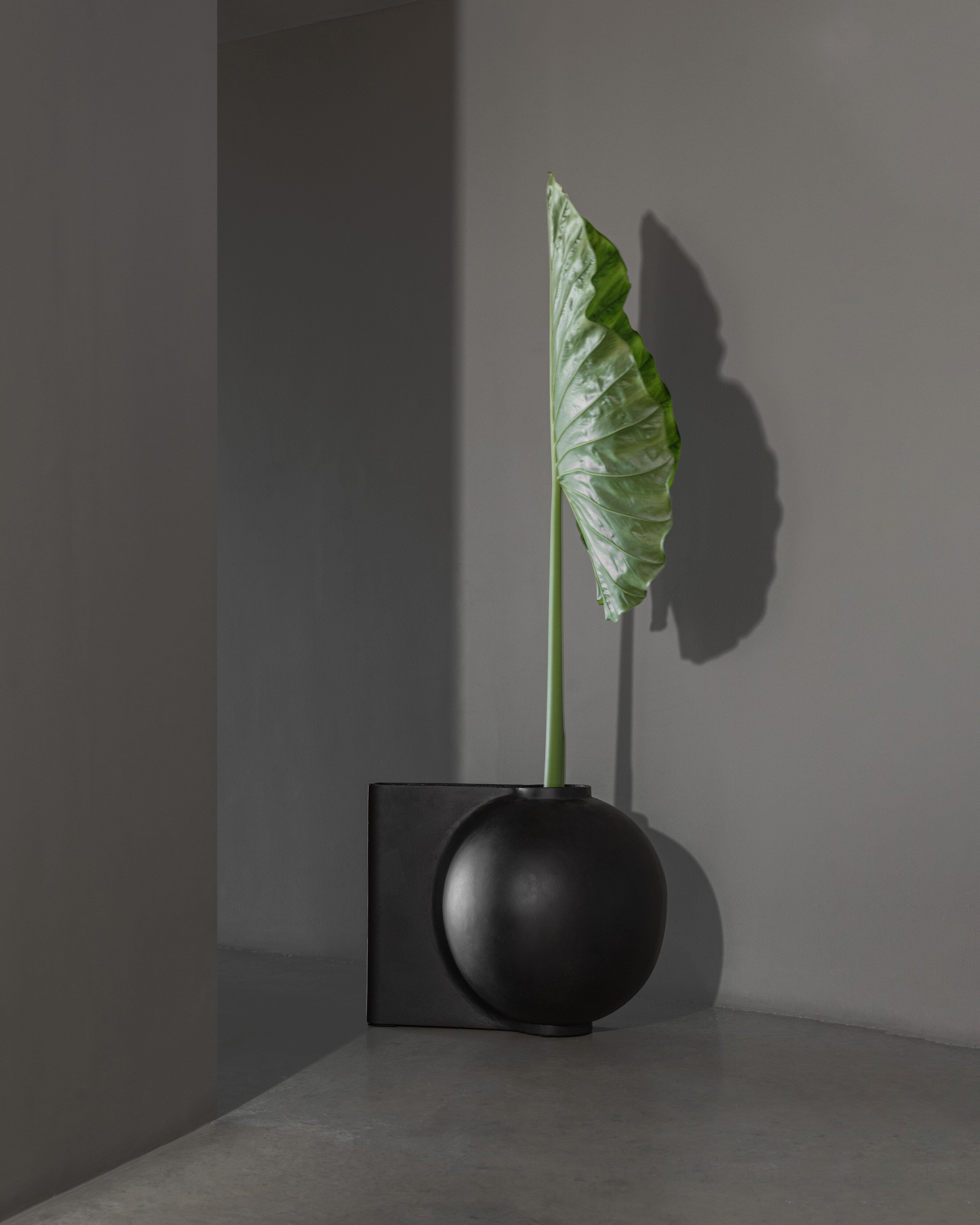 Offset Vase, Big - Coffee
