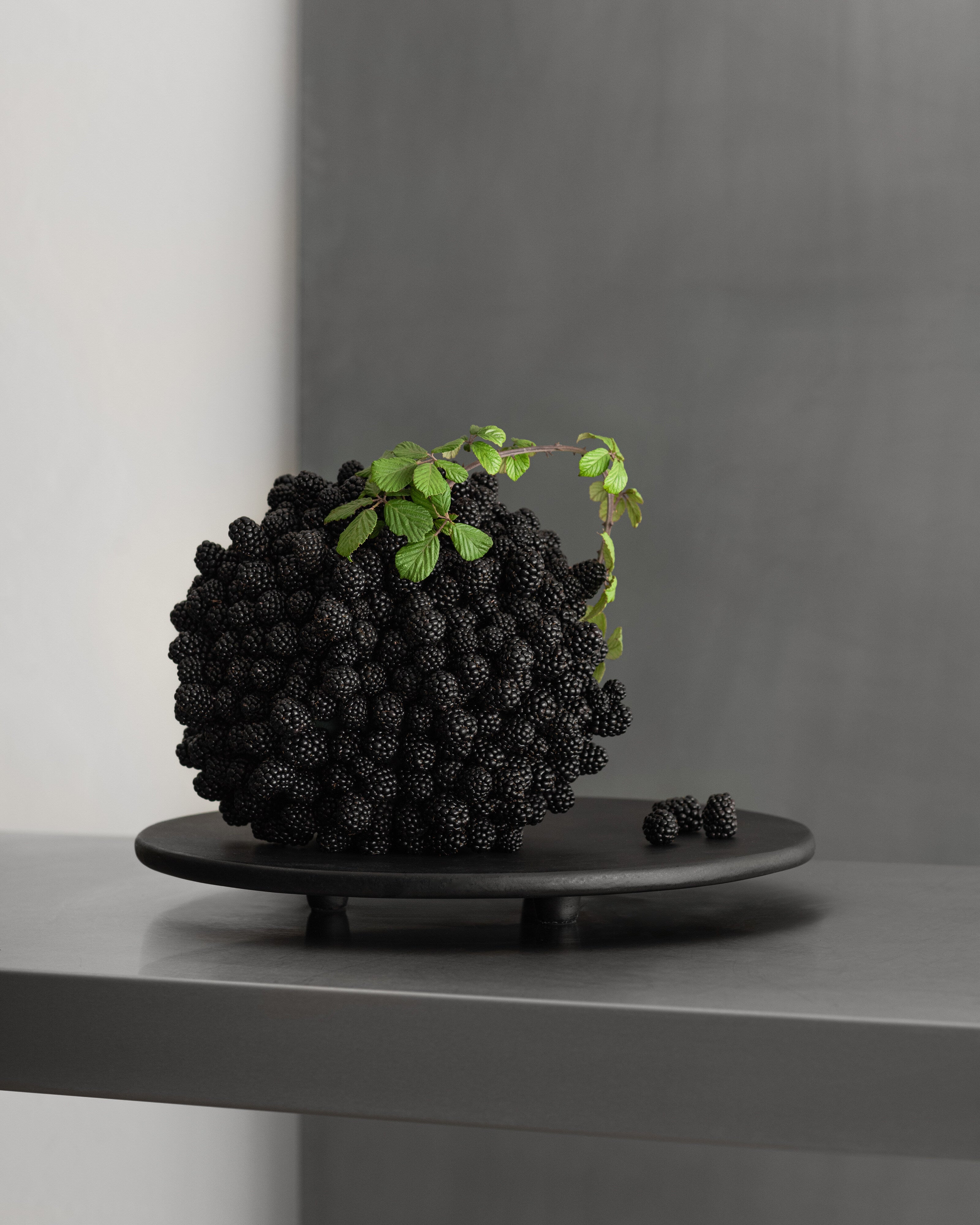 Duck Tray, Small - Coffee