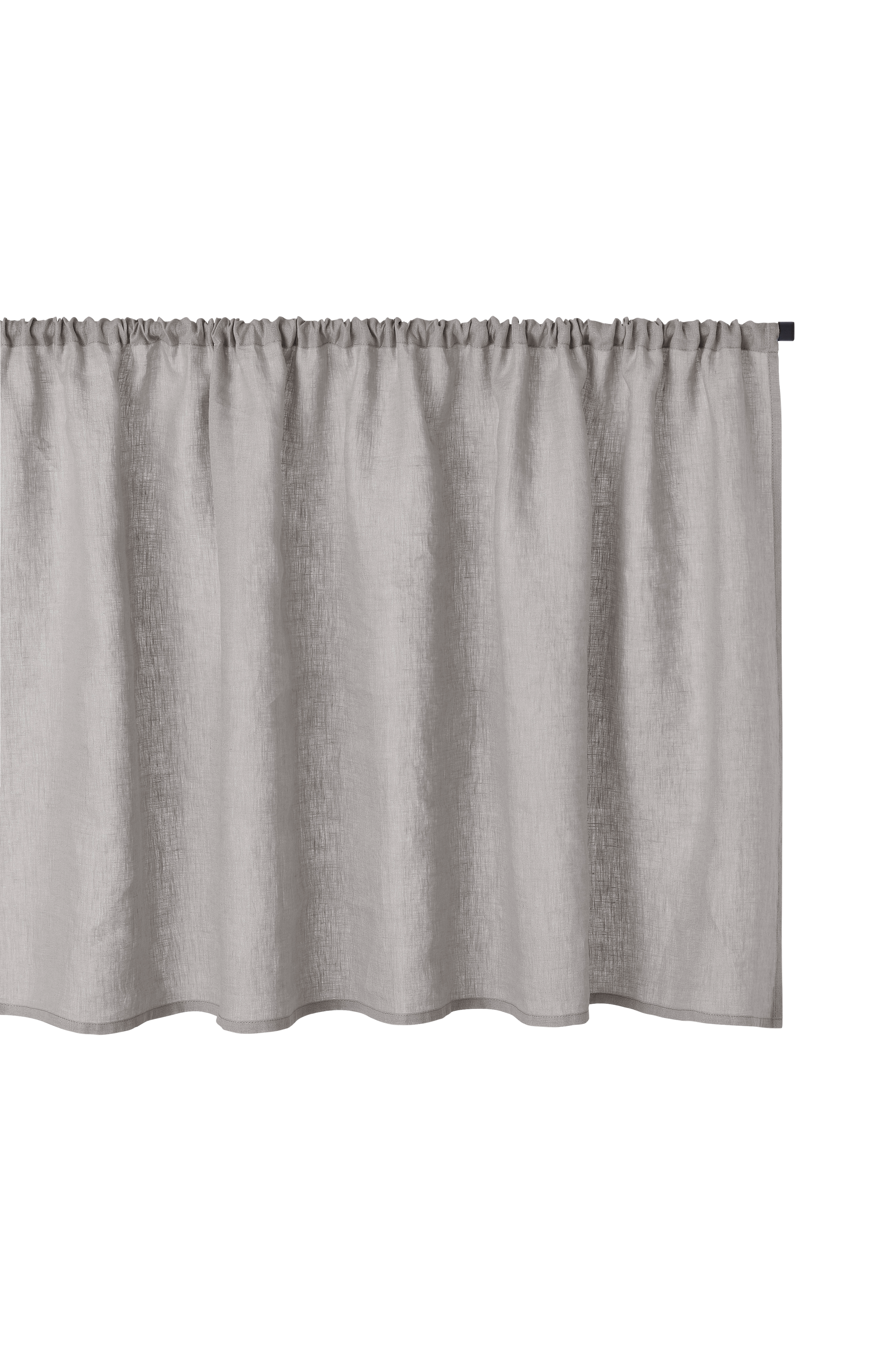 Kafégardin Malva